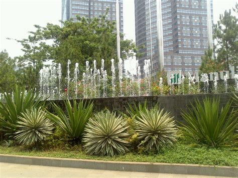 Sudirman park, jakarta | Jakarta, Plants, Park