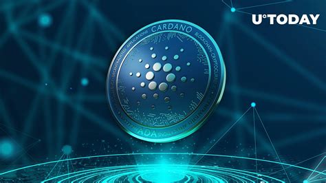 cardano sees  million transaction boost  august