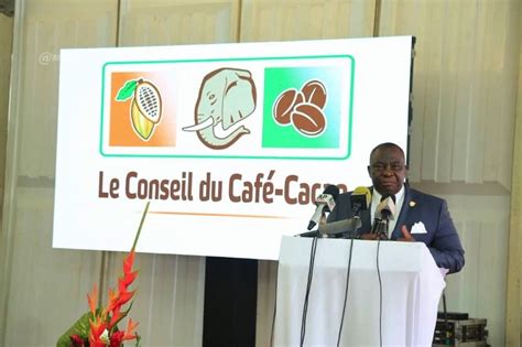 Côte d Ivoire le Conseil du Café cacao dévoile sa nouvelle identité