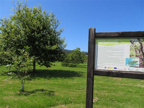 Rutas de sendeirismo Outras viaxes PASEO FLUVIAL DO RÍO XUBIA S