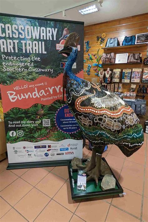 Kuranda Cassowary Art Trail Skyrail