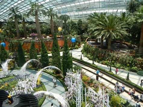 Flower Dome Singapore Opening Hours | Best Flower Site