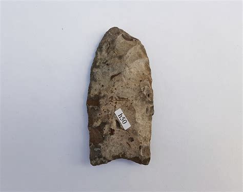 Paleo Period 11500 10000 Yrs Bp Archives Fossils And Artifacts For