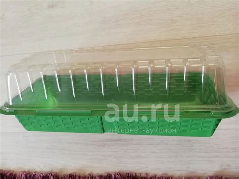 Пара пластиковых контейнеров для посадки растений — купить в ...