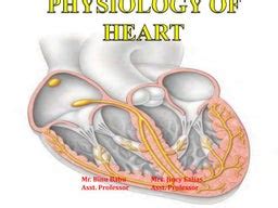 Heart Anatomy and Physiology:Review | PPT