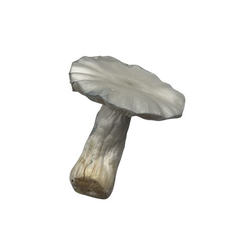 Jedi Mind Fuck Freeze Dried Project Unknown