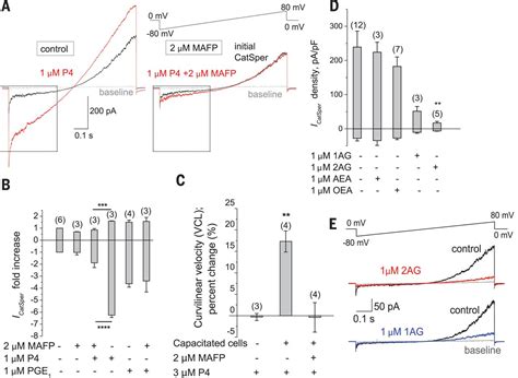 Unconventional Endocannabinoid Signaling Governs Sperm Activation Via The Sex Hormone