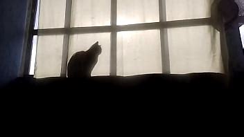 Maluma aquí solo XVIDEOS