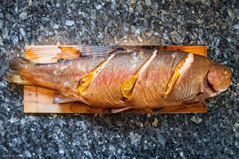 Lachsforelle Grillen So Wird S Gemacht Tastybits De