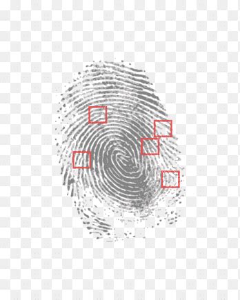 Fingerprint Detective Crime Scene Forensic Science Finger Print Angle