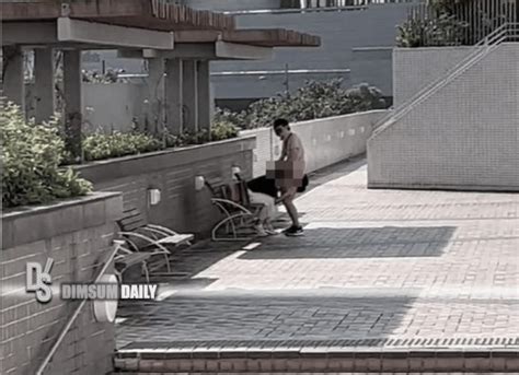 Man And Woman Engage In Sexual Intercourse In Public On A Park Bench Near Citygate Outlets In