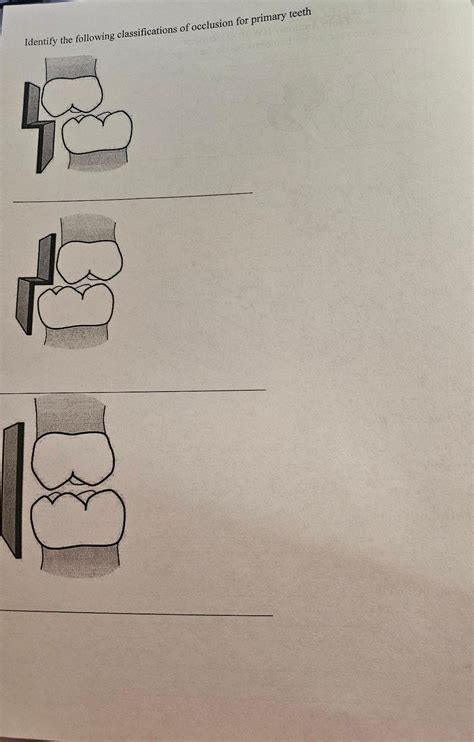 Solved Identify The Following Classifications Of Occlusion Chegg