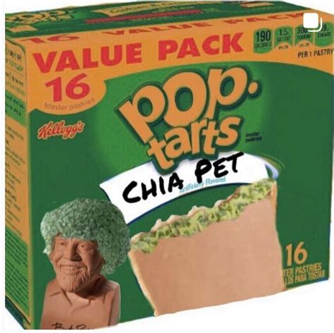 Chia Pet Pop Tarts Pop Tarts Weird Snacks Pop Tart Flavors