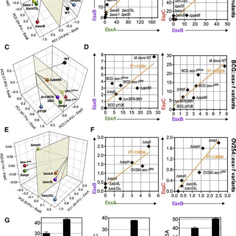 Profiles of EsxA, EsxB, and EspC or Ag85A/B Intraphagocytic Release in ... 