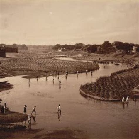 Historical Walks