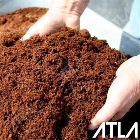 Jual Cocopeat Cocodust Kg Serabut Kelapa Halus Media Tanam