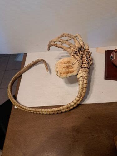 Alien Facehugger 1 1 Scale Life Size Prop Replica Sigourney Weaver