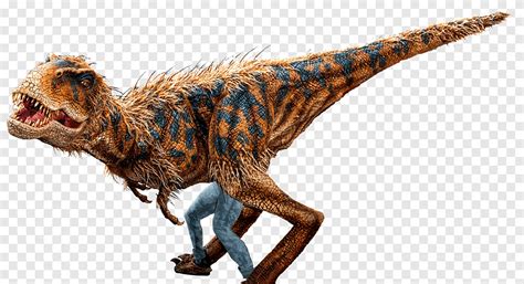 Velociraptor Deinonychus Tyrannosaurus Imagen Png Imagen The Best