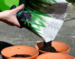 Спецпроект «Игра в грядки» — Городские вести