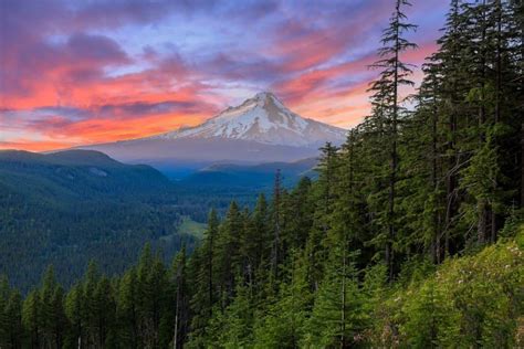 Mt Hood And Columbia River Gorge Day Trip From Portland Visit Oregon