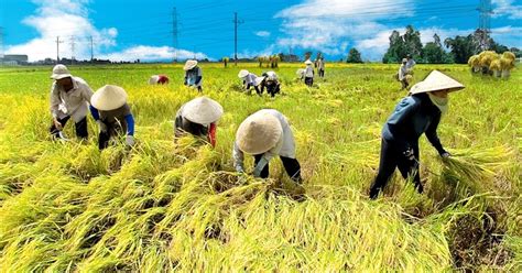 Lạc Hậu trong Tiếng Anh là gì Định Nghĩa Ví Dụ Anh Việt