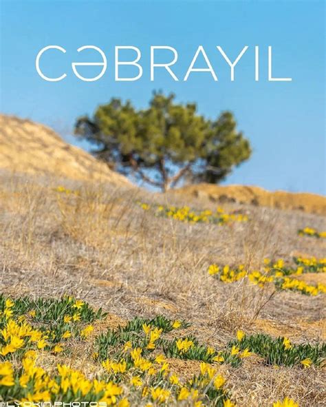 🇦🇿 Карабах – это Азербайджан! Фотографии | В Азербайджане не поймут