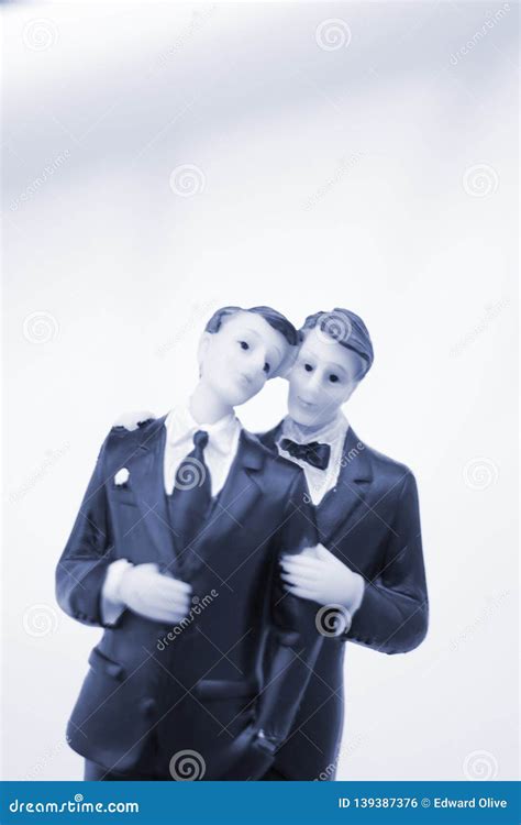 Pares Gay De La Boda Del Primero De La Torta Foto De Archivo Imagen De Case Figuras 139387376