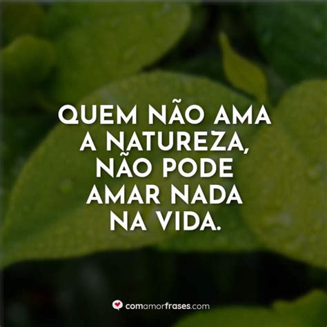 Frases do Dia Mundial do Meio Ambiente - Com Amor, Frases