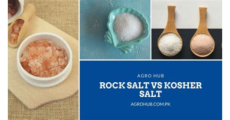Rock Salt Vs Sea Salt Agro Hub