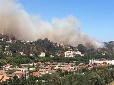 Incendio Forestal Afecta Zona Alta De Viña Del Mar Epicentro Chile