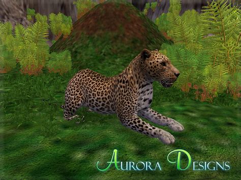 African Leopard The Zt2 Round Table