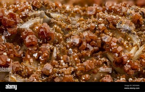 Orange Red Tabular Crystals Of Vanadinite Lead Mineral Sample