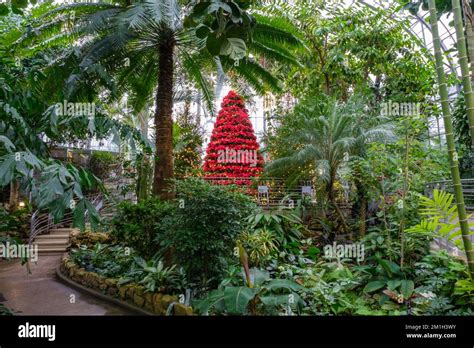 Krohn Conservatory In Cincinnati Ohio At Christmas Interior View