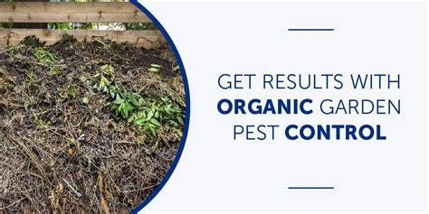 Get Results with Organic Garden Pest Control | Bug & Weed Mart