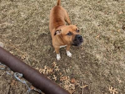 Just Your Friendly Gay Neighbor Tumblr Tumbex