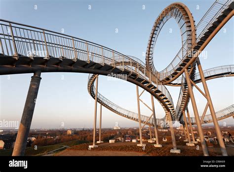 Tiger Turtle Magic Mountain Sculpture Landmark Walkable Sculpture