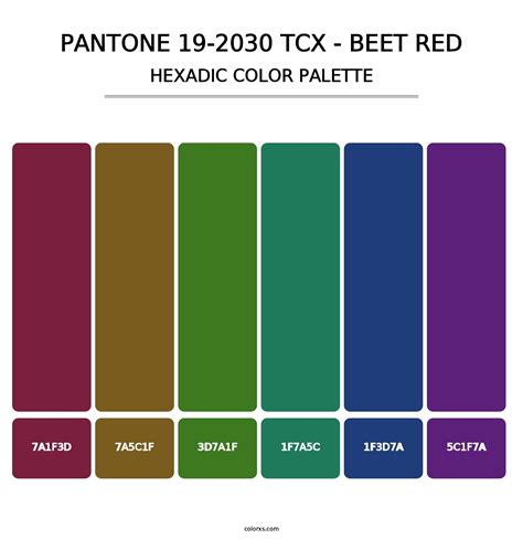 PANTONE 19 2030 TCX Beet Red Color Palettes Colorxs