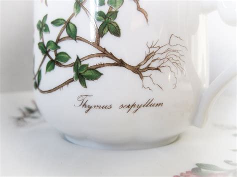 Seltmann Weiden Bavaria Renate Flora Porcelain Teacup And Etsy