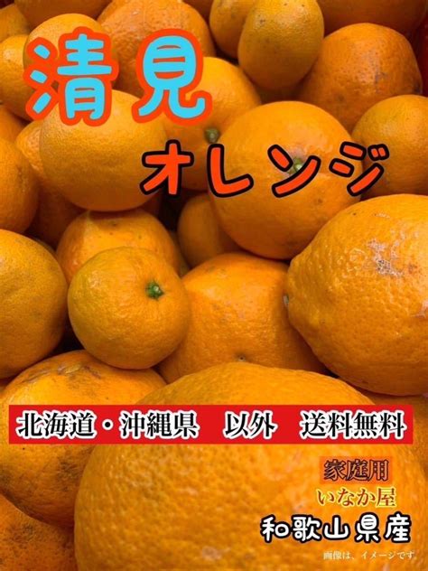 【やや傷や汚れあり】大特価 セール 和歌山県産 清見 オレンジ 家庭用 8kg 数量限定 早い者勝ち セール フルーツ みかんの落札情報詳細