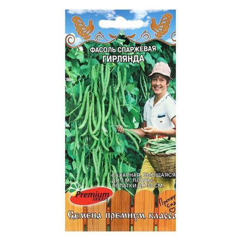 Фасоль Premium seeds 5427446 - купить по выгодным ценам в интернет ...