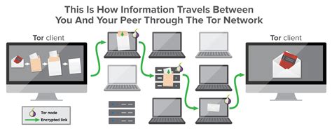 Tor Browser Explained Safety Guide Expressvpn Blog