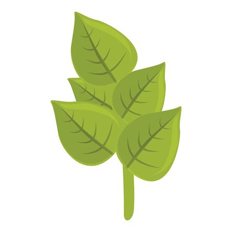 Sage Oregano Icon Cartoon Vector Leaf Herb 14339375 Vector Art At Vecteezy