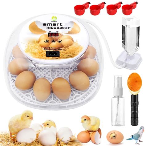 Buy Incubators For Hatching Eggs 12 24 Egg Incubator With Automatic