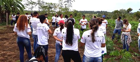 Dia De Campo Sobre Mandioca Ocorre No Campus Floresta Da Ufac