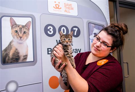 New York City Pet Adoption Center | Best Friends Animal Society