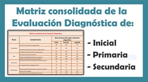 Matriz consolidada de la Evaluación Diagnóstica 2024