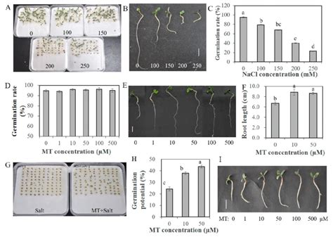 Germination Status Of Alfalfa Seeds Under Various Concentrations Of Download Scientific Diagram