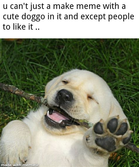 Me Hold My Beer Memes