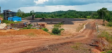 Manganese Mining Brings Development and Destruction to Guyana | Earth