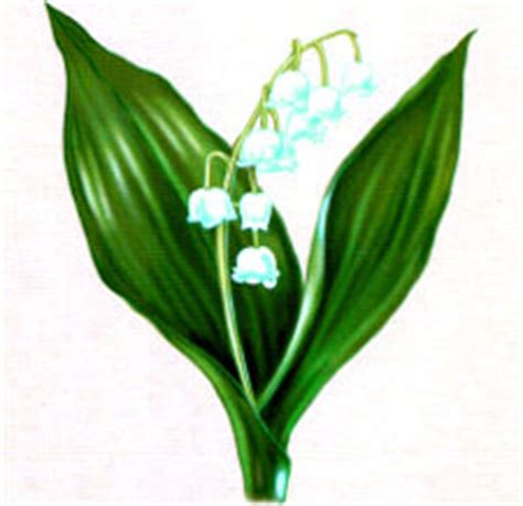 Ирис Ревю: Сказка про ландыш